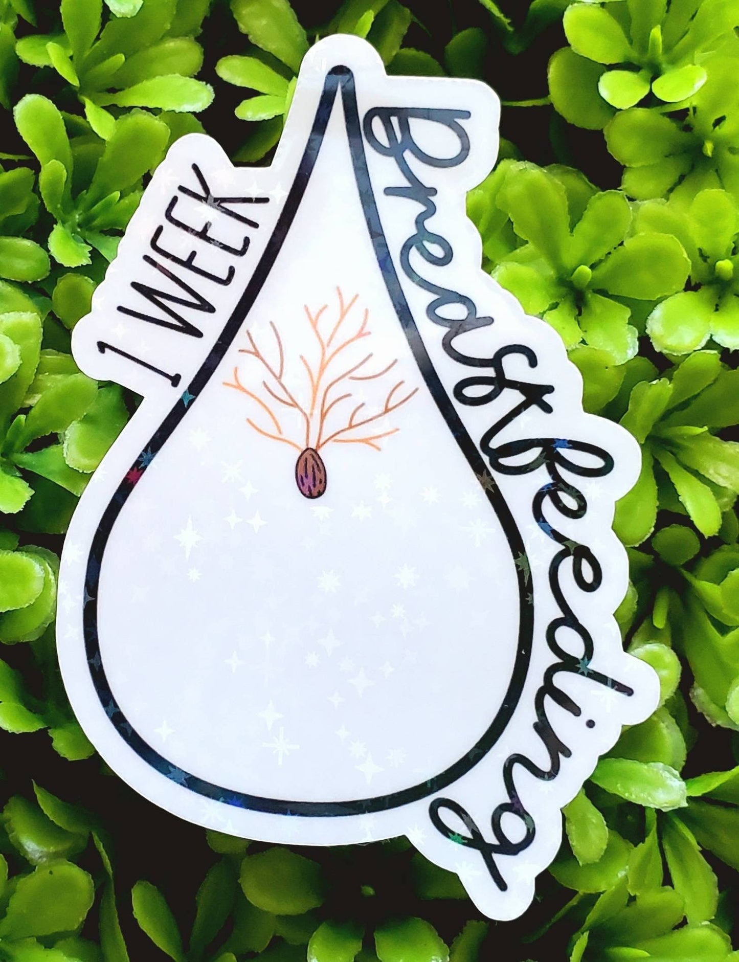 Breastfeeding sticker, breastfeeding milestone sticker, pumping milestone sticker,  year breastfeeding sticker, breastfeedkng accomplishment