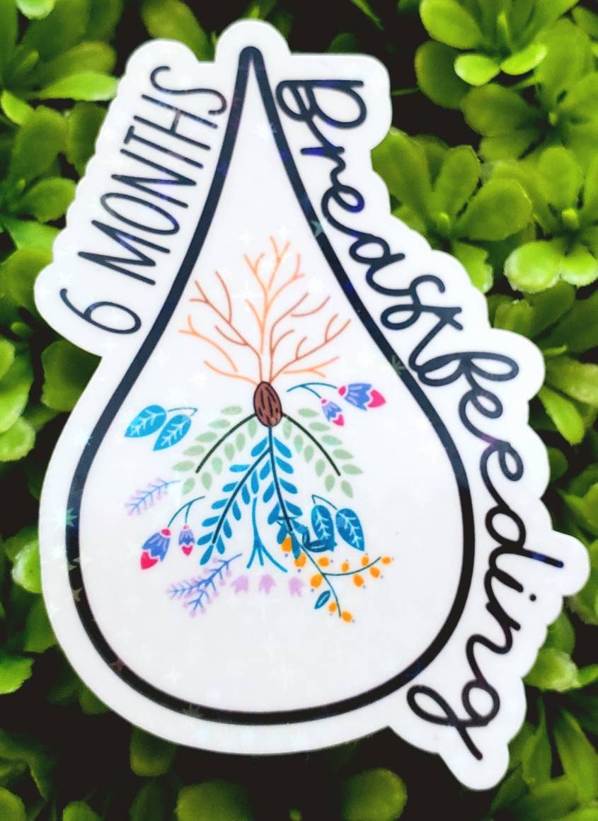 Breastfeeding sticker, breastfeeding milestone sticker, pumping milestone sticker,  year breastfeeding sticker, breastfeedkng accomplishment