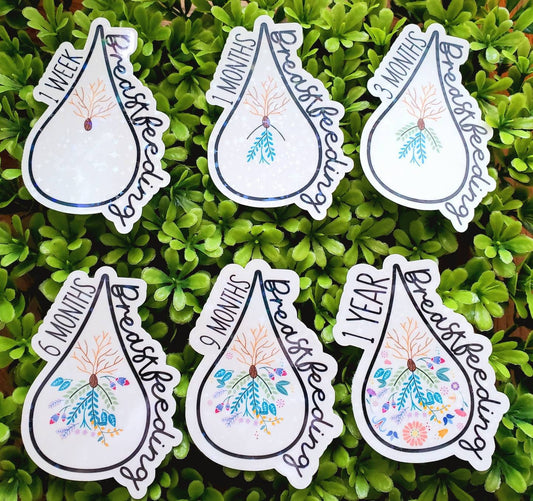 Breastfeeding sticker, breastfeeding milestone sticker, pumping milestone sticker,  year breastfeeding sticker, breastfeedkng accomplishment